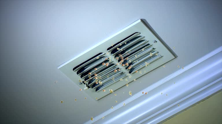 Best Professional Duct Cleaning Services  in Leesburg, FL