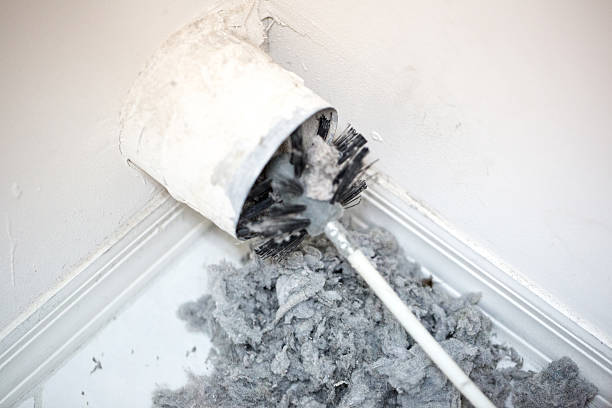 Best HVAC Air Duct Cleaning  in Leesburg, FL